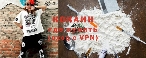 тгк Пересвет