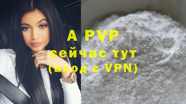 тгк Пересвет