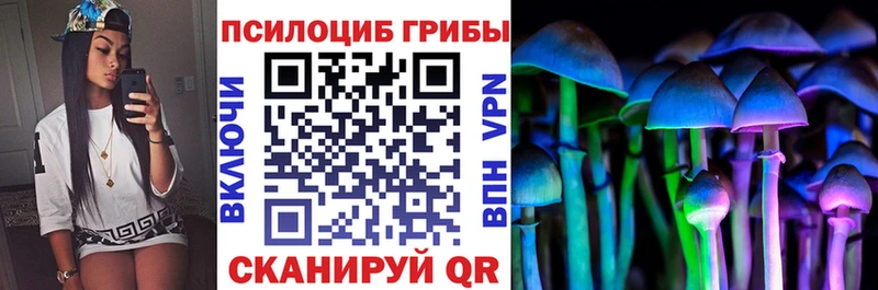 Псилоцибиновые грибы мицелий  Шебекино 