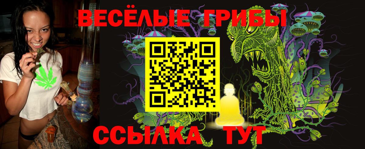 Шебекино  что такое   Вход с VPN  Псилоцибиновые грибы Psilocybine cubensis 