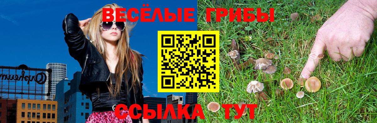 Псилоцибиновые грибы Cubensis Шебекино
